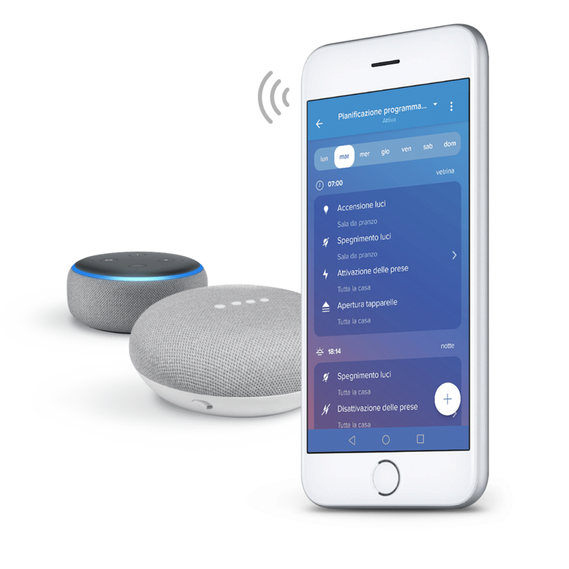Voice assistant